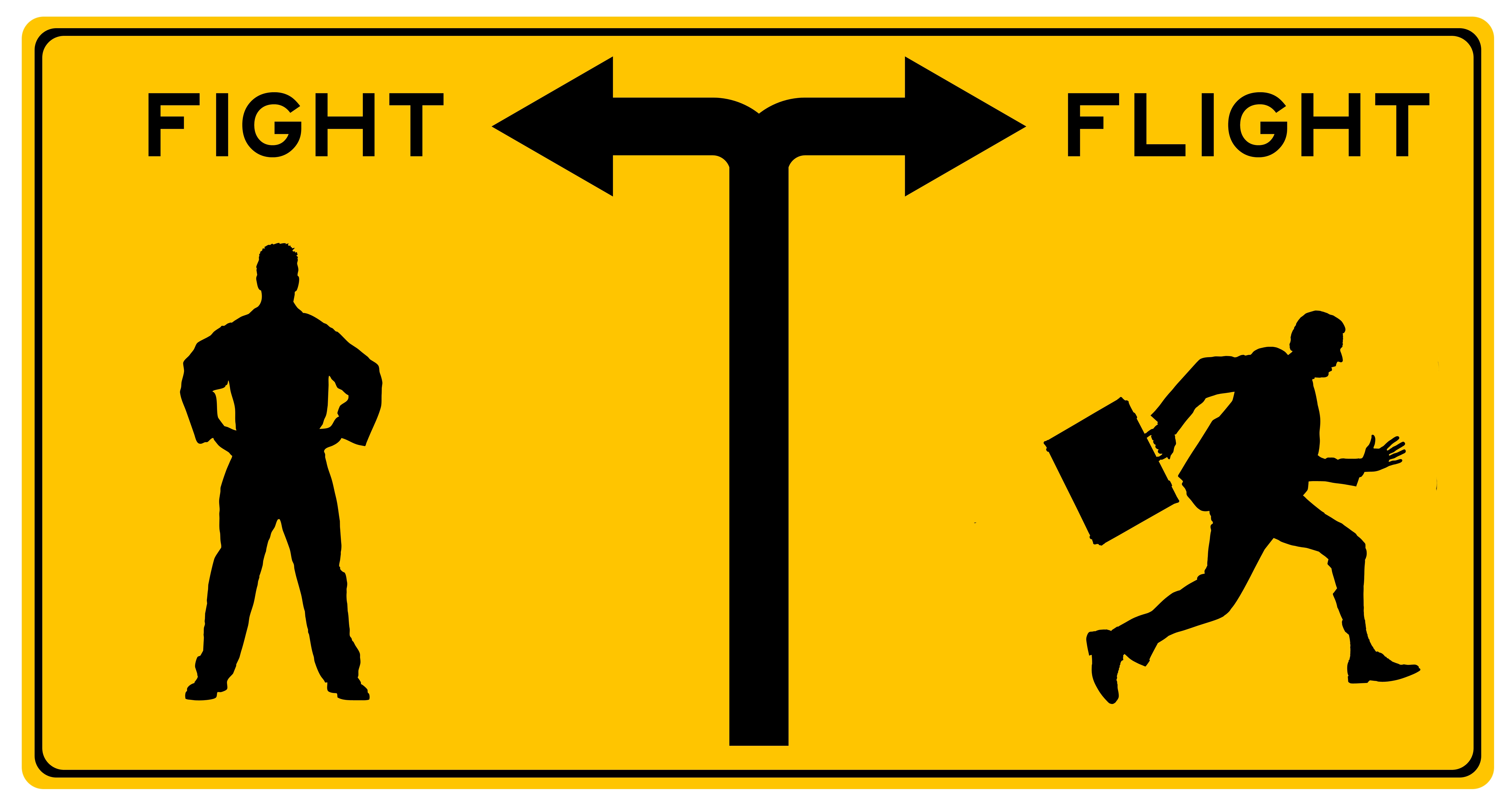 Fight or flight