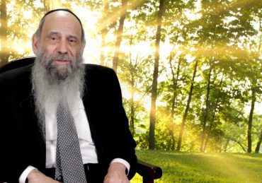 Rabbi Chaim Mintz