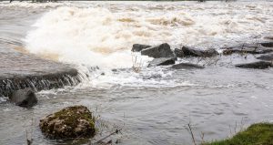 Flood Waters