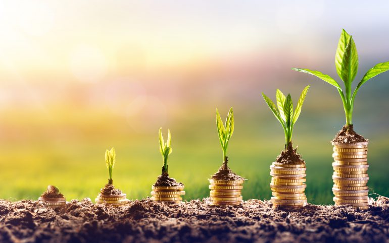 Parshas Vayetzei pennies growing