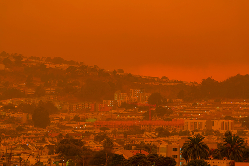 Effects of Wildfire Smoke