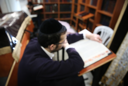 studying Talmud - grabbing mitzvot
