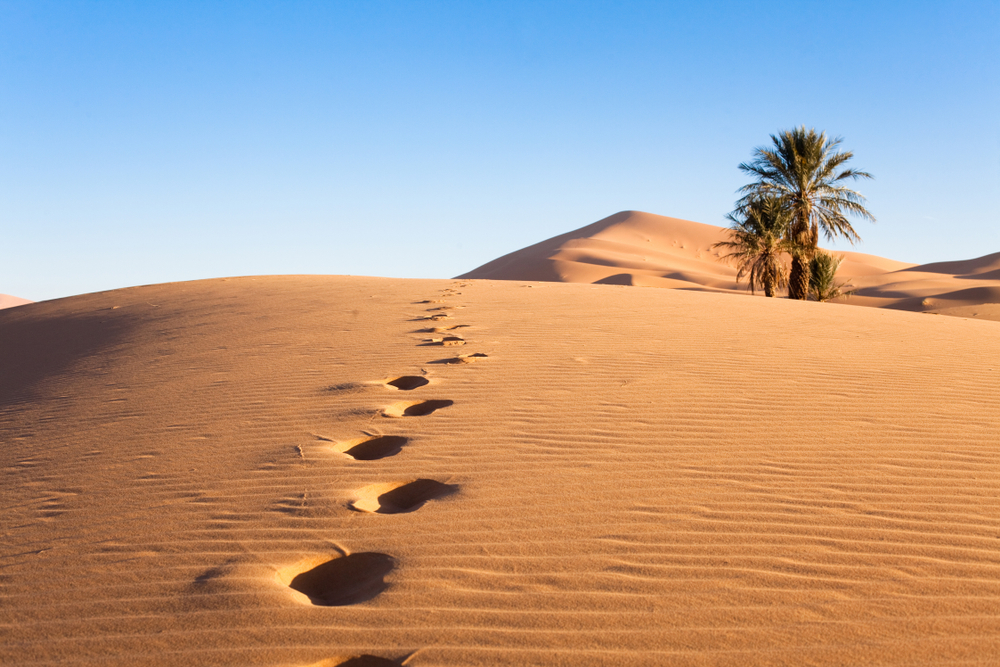 Why was Avraham chosen as the father of the Jewish nation?
