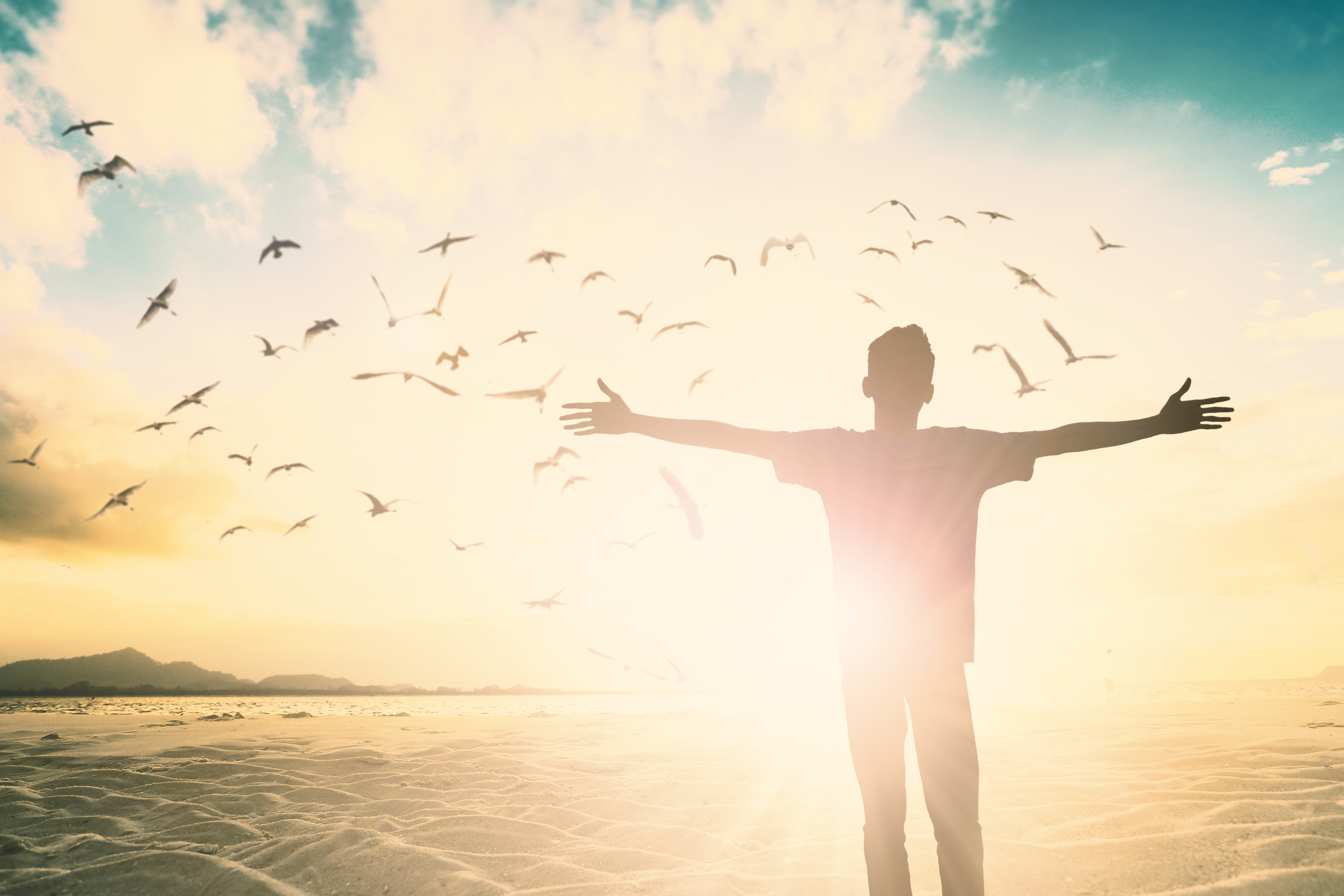 give them sunshine and forgiveness: lesson from cities of refuge in the TORAH