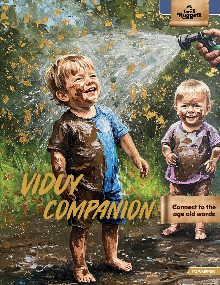 viduy companion