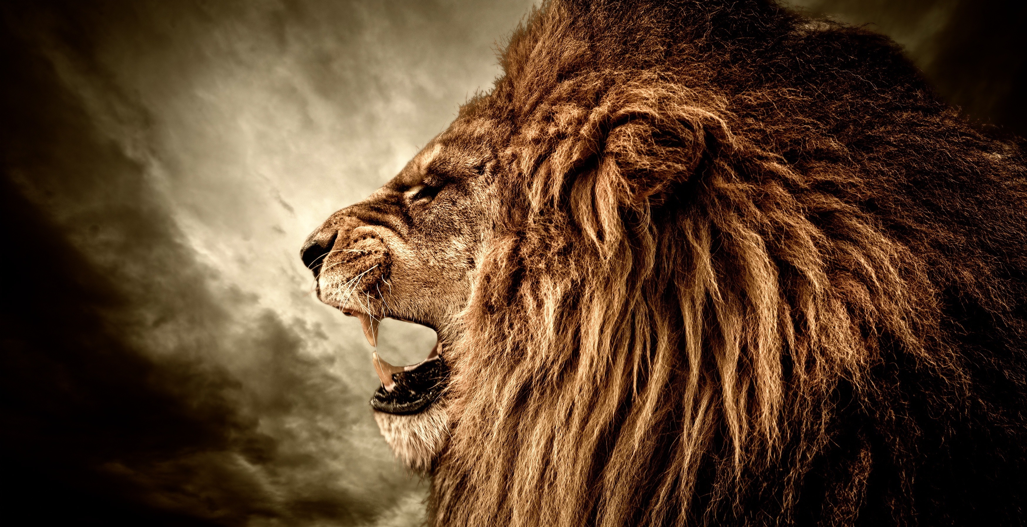 anger is dangerous.
