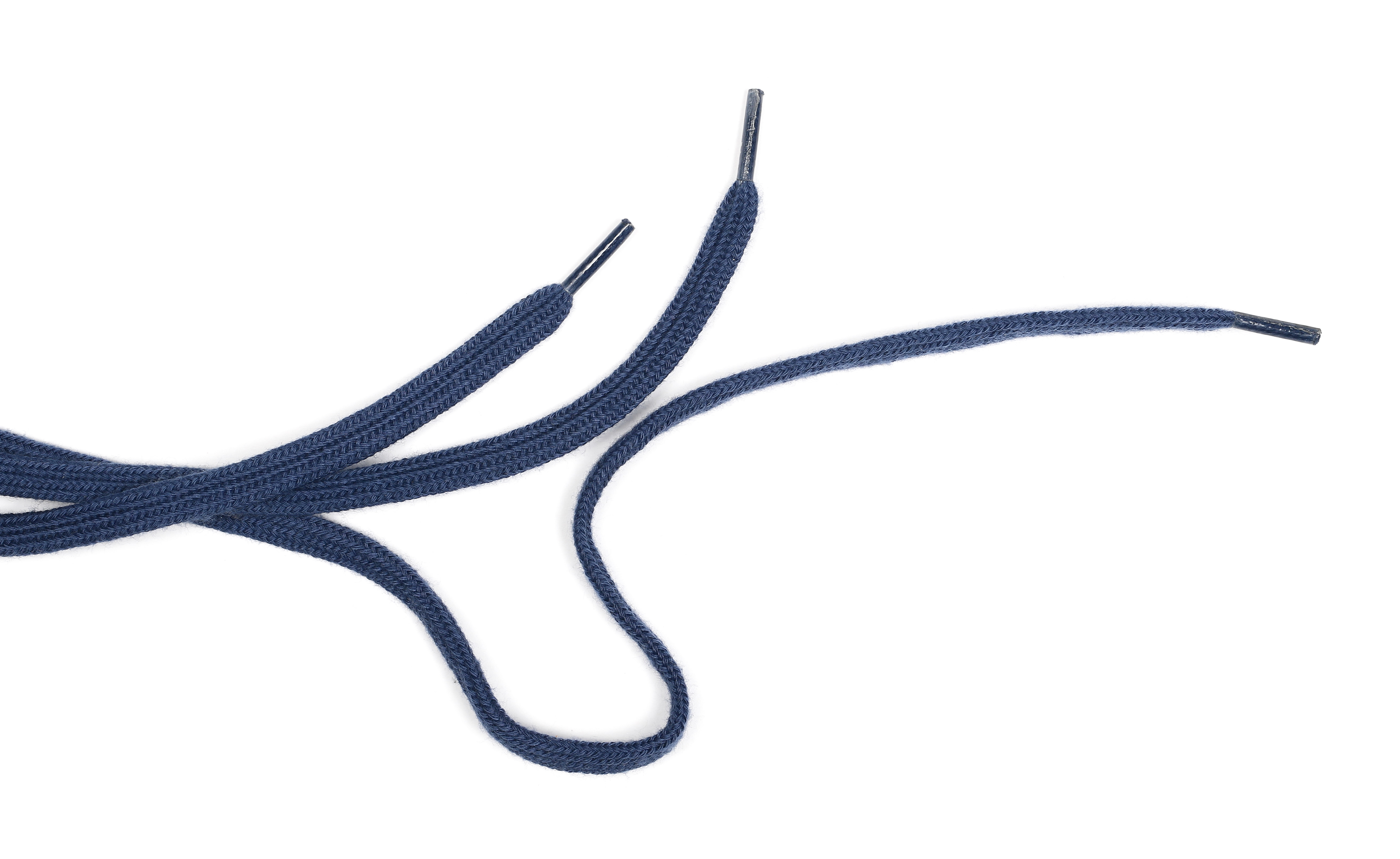 Shoelace