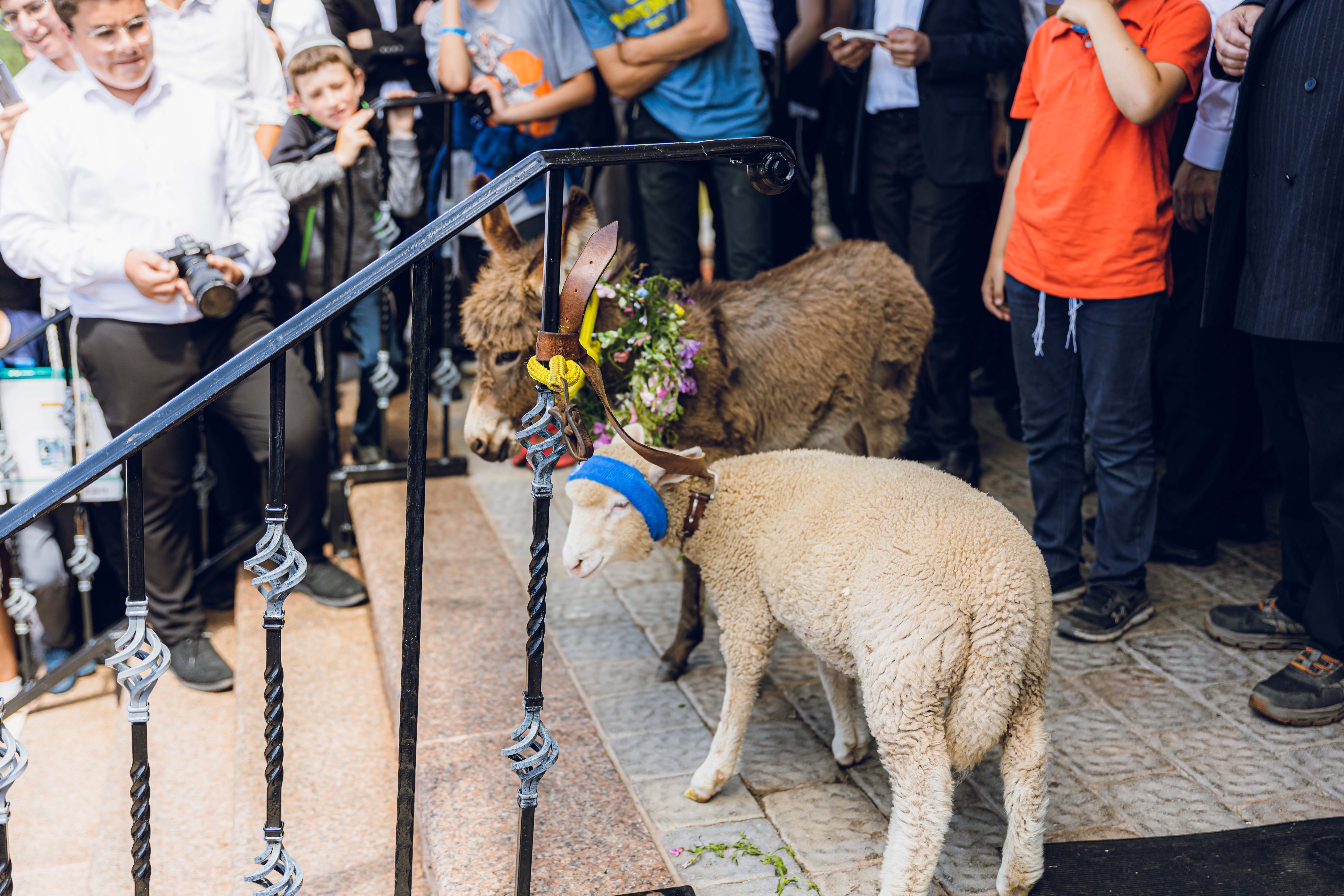 Pidyon Peter Chamor at Oorah's TheZone camp