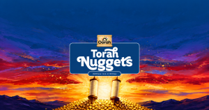 Torah Nuggets